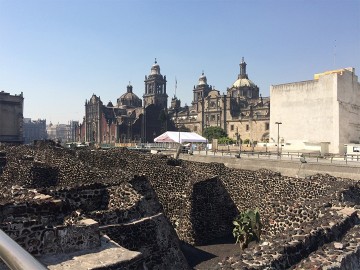  Mexico City Markets & Food Tour